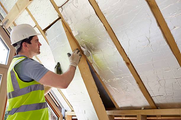 Best Cellulose Insulation in Enoch, UT