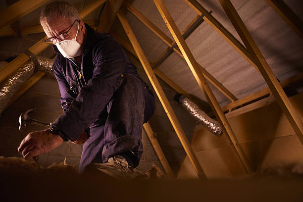 Best Insulation Maintenance and Repair in Enoch, UT